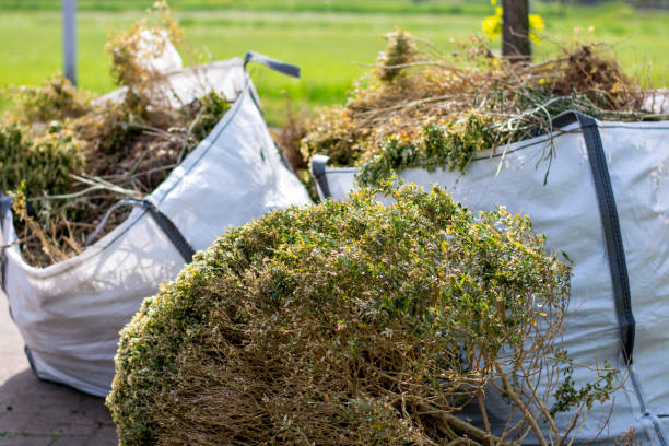 Best Same-Day Junk Removal  in Ampere North, NJ